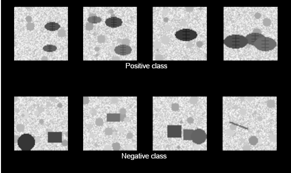 Sample images from the custom leaves dataset: examples with and without leaves.
